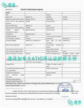 将图片加载到图库查看器，速译 加拿大ATIO等认证驾驶人信息查询（安省用）-认证翻译 certified translation of driver info inquiry
