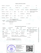 將圖片載入圖庫檢視器 加拿大安省ATIO 中國出生證明翻譯

